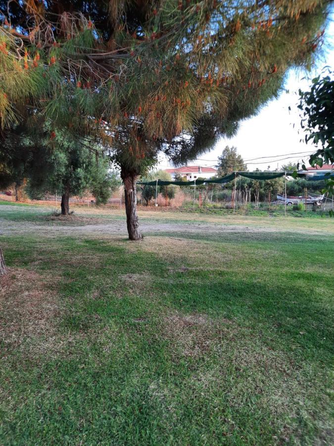 Bungalows Anestis Torone Exterior foto