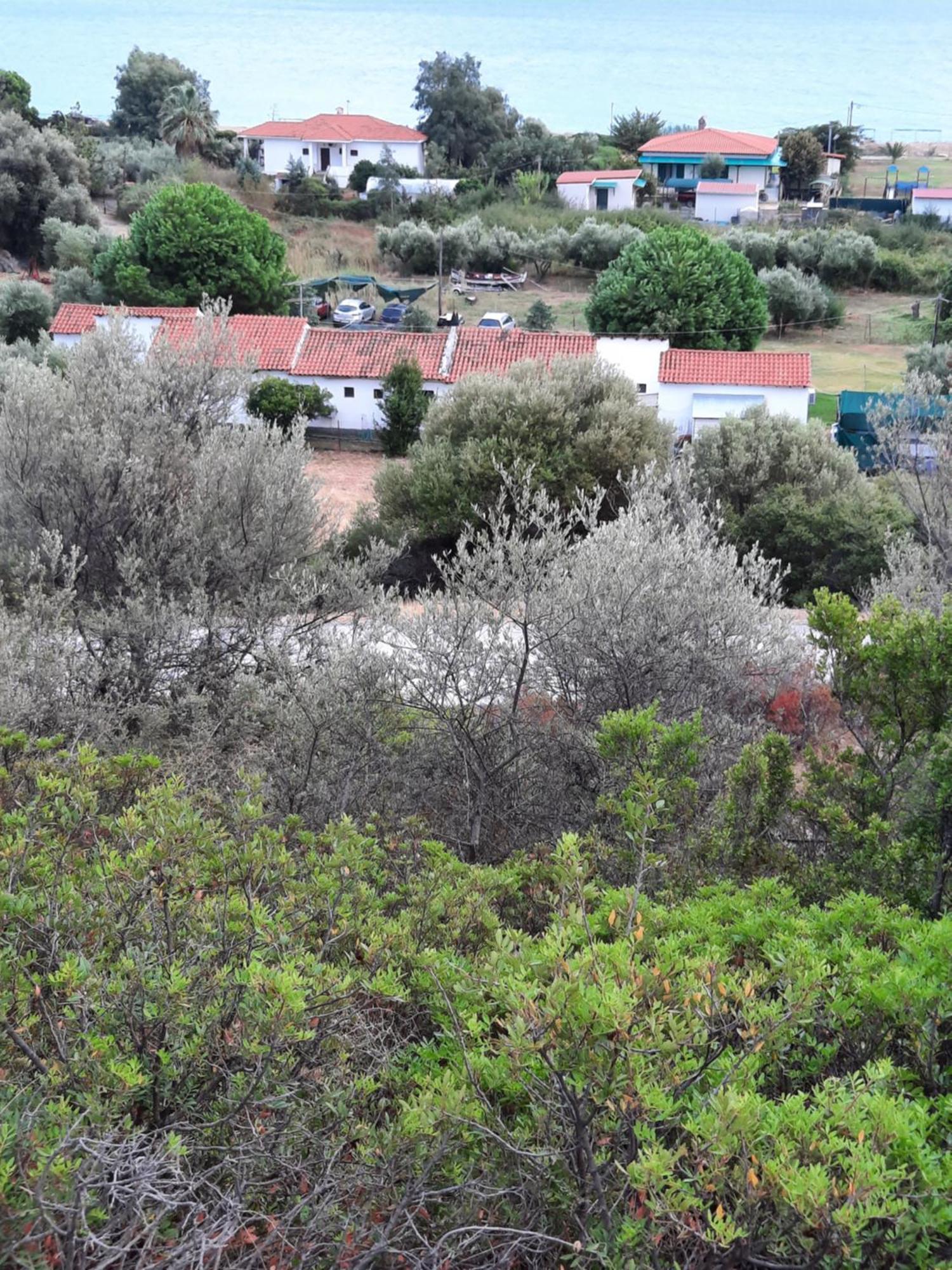 Bungalows Anestis Torone Exterior foto